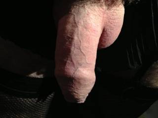 uncut cock for sucking...