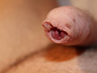 Would you like to investigate the folds of my forekin ?