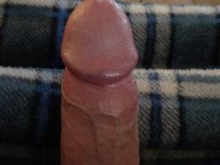 Cock for you....
