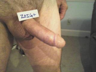 His hard dick while tributing zoig friends and posing for photo requests. Who wants to pose with him?