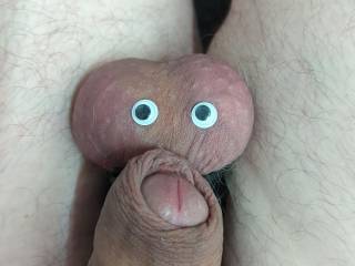 My penis saying hello