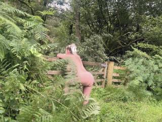 If you go down to the woods today……. 🌿🌱🪾