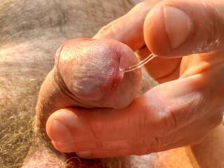 dick