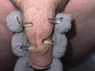 Messing around with a hair grip clamping down on my dick with its spiky teeth I do like being naughty for your enjoyment