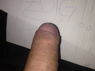 Suck or Fuck ? what would you do to it?
