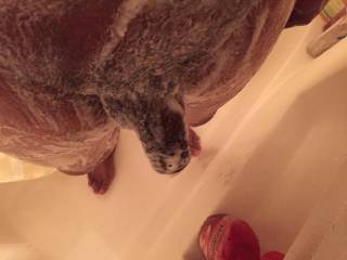 shower