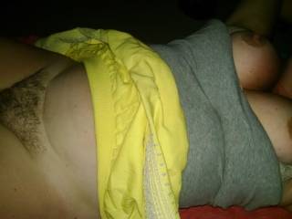 Hairy bush