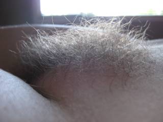 sunlight dancing through my soft fluffy bush