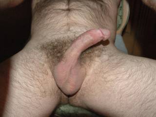Shaved balls and hard cock