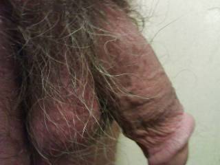 Want it shaved or not