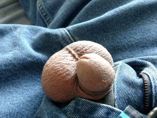 My Cock