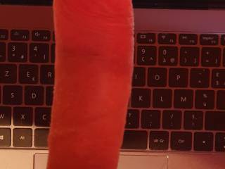 Tribute to mixednutscr