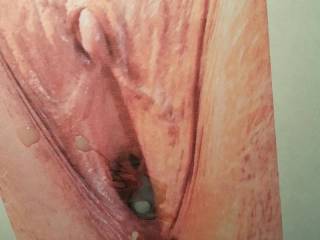 Tribute to Al\'s  wife\'s vagina.