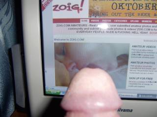 for ZOIG