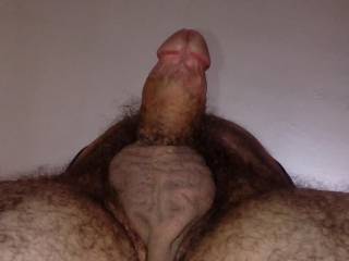 what do you think ?