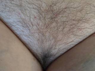 Wife showing off her hairy pussy.