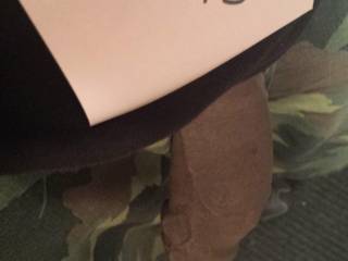 Zoig verification