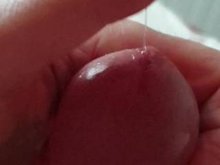 Just talking to a hottie on Zoig and edging......making me so hard and the precum flow!
