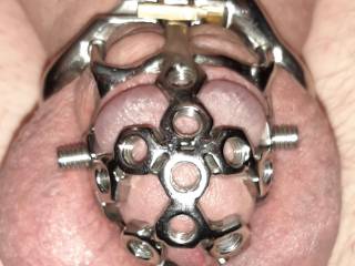How do you like this torturous chastity cage for hubby?  The more he misbehaves, the more the screws will get tightened, biting into his little penis.