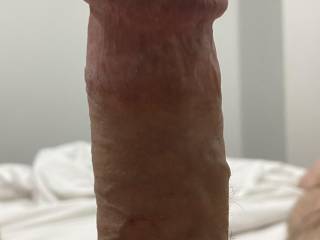 Cock standing up in Hotel room