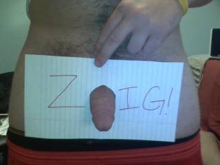 ZOIG!