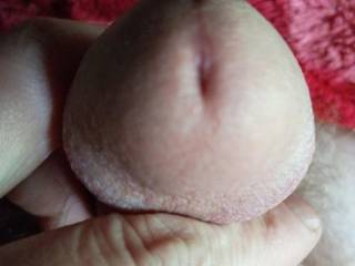 Who likes my head?