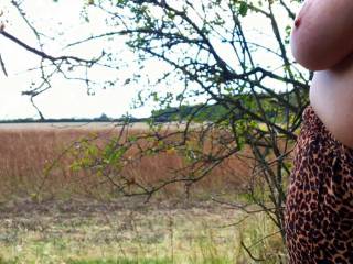 Watching (tits out) the guest walking this way through a gap in the hedgerow
