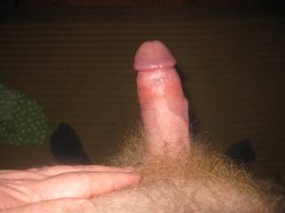 Another dick shot