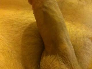 hubbys cock, its so nice, maybe someone else wants to taste it