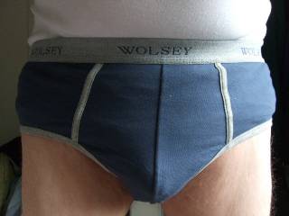 nice fit wolsey briefs
