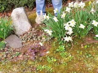 Enjoy the flowers.