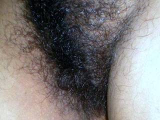 Wife\'s cunt pubic hairs....💋💋💋.
