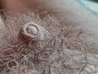 My hairy small nub