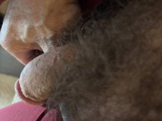 groping my hairy cock in chat
