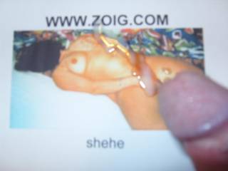 tribute to shehe