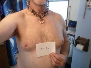 It's naked housework day, and of course I like to wear a collar. I need someone on the other end of my leash.