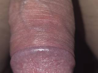 Looking for anyone to blow this cock