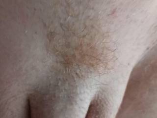 Mornings Glory Solid Hard Cock