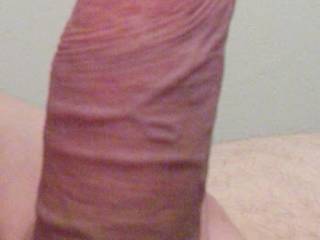 my cock