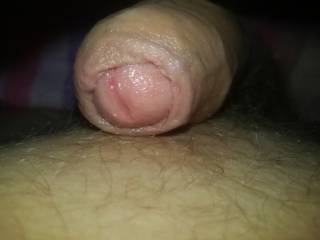 dick