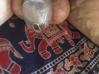 This photo shows Stubby - my wife's SPH nickname for my minuscule penis - in a NUB chastity cage, the smallest cage that she could find.  As you can see, he still only fills the cage halfway.