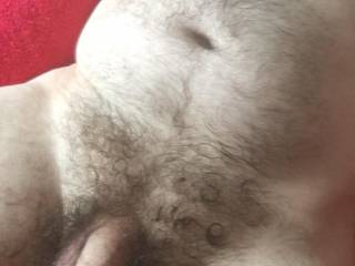 Who wants 2 play with my hairy cock ?