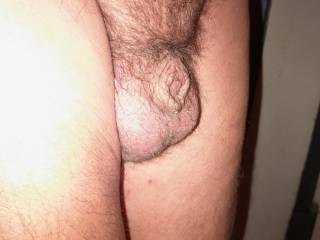Have you ever seen such a small cock? This is probably the smallest dick in my country.