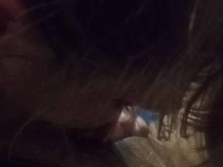 Lauren sucking my cock