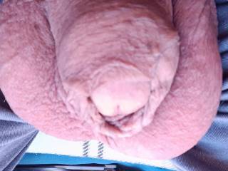 Just hanging out enjoying the day wishing you were hir 😛