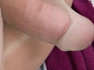 My cock in pantyhose cock sheath