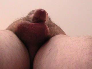 ...the view from 'under'...my shriveled dick is only about 2 inches long now..