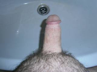my shaved cock and timmed pubes