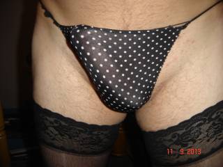 Mmmm Your cock looks fabulous in those panties. I love the stockings too.