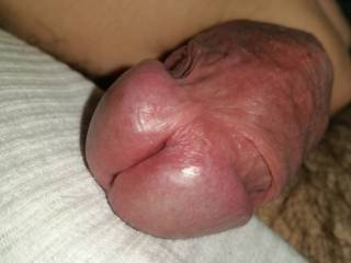 penis